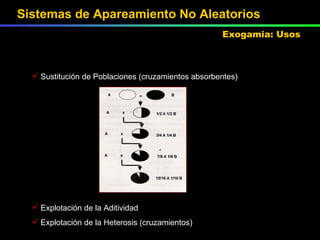 Sustitución de Poblaciones (cruzamientos absorbentes) Explotación de la Aditividad Explotación de la Heterosis (cruzamientos) Sistemas de Apareamiento No Aleatorios Exogamia: Usos 