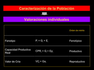 Valoraciones individuales Caracterización de la Población Reproductivo VC i  = Ga i Valor de Cría Productivo CPR i  = G i  + Ep i Capacidad Productiva Real Fenotípico P i  = G i  + E i Fenotipo Orden de mérito 