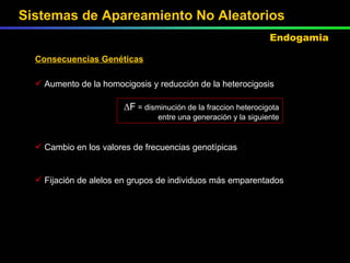 Consecuencias Genéticas Aumento de la homocigosis y reducción de la heterocigosis ∆ F  = disminución de la fraccion heterocigota entre una generación y la siguiente Cambio en los valores de frecuencias genotípicas Fijación de alelos en grupos de individuos más emparentados Sistemas de Apareamiento No Aleatorios Endogamia 