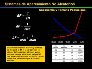Cuando el número de machos y hembras es desigual, el ΔF (y la variación en los valores de frecuencias génicas) que se produce en cada generación es igual al que se produciría en una población con un número de individuos igual al número efectivo   Sistemas de Apareamiento No Aleatorios Endogamia y Tamaño Poblacional 0,1263 3,96 99 1 0,0263 19 95 5 0,0139 36 90 10 0,0078 64 80 20 0,0050 100 50 50 ΔF Ne Nro. Hembras Nro. Machos 