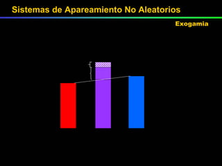 Línea A  Híbrido AB  Línea B  EE  Ee  ee  Vigor Híbrido o Heterosis Efecto Materno Sistemas de Apareamiento No Aleatorios Exogamia 