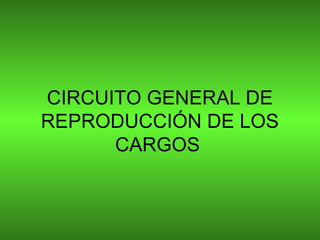 CIRCUITO GENERAL DE
REPRODUCCIÓN DE LOS
CARGOS

 