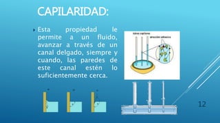 CAPILARIDAD:
12
 Esta propiedad le
permite a un fluido,
avanzar a través de un
canal delgado, siempre y
cuando, las paredes de
este canal estén lo
suficientemente cerca.
 