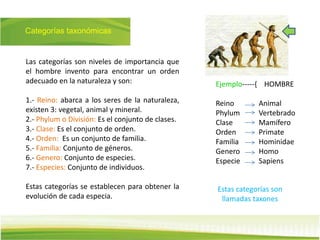 Categorías taxonómicas
Las categorías son niveles de importancia que
el hombre invento para encontrar un orden
adecuado en la naturaleza y son:
1.- Reino: abarca a los seres de la naturaleza,
existen 3: vegetal, animal y mineral.
2.- Phylum o División: Es el conjunto de clases.
3.- Clase: Es el conjunto de orden.
4.- Orden: Es un conjunto de familia.
5.- Familia: Conjunto de géneros.
6.- Genero: Conjunto de especies.
7.- Especies: Conjunto de individuos.
Estas categorías se establecen para obtener la
evolución de cada especia.
Ejemplo-----{ HOMBRE
Reino Animal
Phylum Vertebrado
Clase Mamífero
Orden Primate
Familia Hominidae
Genero Homo
Especie Sapiens
Estas categorías son
llamadas taxones
 