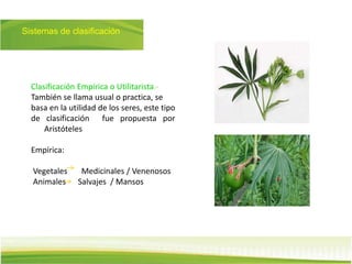 Sistemas de clasificación
Clasificación Empírica o Utilitarista.-
También se llama usual o practica, se
basa en la utilidad de los seres, este tipo
de clasificación fue propuesta por
Aristóteles
Empírica:
Vegetales Medicinales / Venenosos
Animales Salvajes / Mansos
 