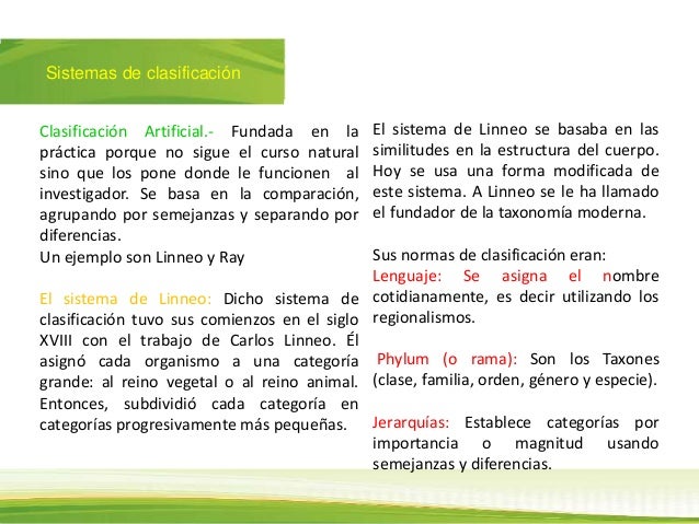 Sistemas de clasificación