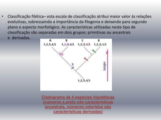Sistemas De ClassificaçãO