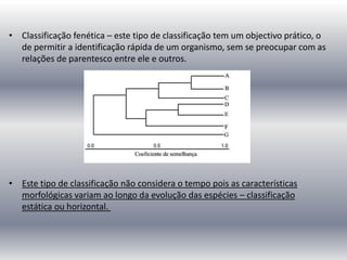 Sistemas De ClassificaçãO