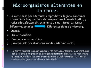 Sistemas de control de microorganismos en carne | PPTX