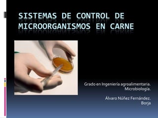 SISTEMAS DE CONTROL DE
MICROORGANISMOS EN CARNE




             Grado en Ingeniería agroalimentaria.
                                   Microbiología.

                        Álvaro Núñez Fernández.
                                          Borja
 