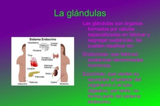 Las drogas dañan la salud 