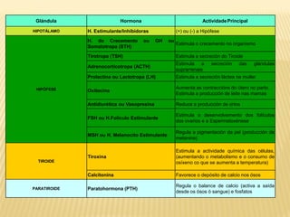 Glándula                   Hormona                                Actividade Principal

HIPOTÁLAMO    H. Estimulante/Inhibidoras               (+) ou (-) a Hipófese
              H. do Crecemento        ou     GH   ou
                                                       Estimula o crecemento no organismo
              Somatotropa (STH)

              Tirotropa (TSH)                          Estimula a secreción do Tiroide
                                                       Estimula a       secreción   das    glándulas
              Adrenocorticotropa (ACTH)
                                                       suprarrenais
              Prolactina ou Lactotropa (LH)            Estimula a secreción láctea na muller

 HIPÓFESE                                              Aumenta as contraccións do útero no parto.
              Oxitocina
                                                       Estimula a producción de leite nas mamas

              Antidiurética ou Vasopresina             Reduce a producción de orina

                                                       Estimula o desenvolvemento dos folículos
              FSH ou H.Folículo Estimulante
                                                       dos ovarios e a Espermatoxénese

                                                       Regula a pigmentación da pel (producción de
              MSH ou H. Melanocito Estimulante
                                                       melanina)

                                                       Estimula a actividade química das células,
              Tiroxina                                 (aumentando o metabolismo e o consumo de
  TIROIDE                                              osíxeno co que se aumenta a temperatura)

              Calcitonina                              Favorece o depósito de calcio nos ósos

                                                       Regula o balance de calcio (activa a saída
PARATIROIDE   Paratohormona (PTH)
                                                       desde os ósos ó sangue) e fosfatos
 