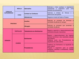 Estimula o rítmo cardíaco e respiratorio,
                     MÉDULA   Adrenalina                   preparando ó organismo para unha
                                                           situación de emerxencia.
  CÁPSULAS
SUPRARRENAIS                                               Estimula a síntese de       Glicosa   e   a
                              Cortisol ou Cortisona
                     CODIA                                 destrucción das graxas

                              Aldosterona                  Regula os niveis de Sodio e Potasio

                                                           Estimula os procesos de diminúen          a
                              Insulina
                                                           cantidade de glicosa en sangue
          PÁNCREAS
                                                           Estimula os procesos que aumentan a
                              Glicagón
                                                           cantidade de glicosa

                                                           Regula a aparición e desenvolvemento dos
               TESTÍCULOS     Testosterona ou Andróxenos
                                                           caracteres sexuais masculinos

                                                           Regula o desenvolvemento dos órganos
                                                           sexuais femininos e dos caracteres sexuais
                              Estróxenos                   secundarios
GÓNADAS                                                    Colabora xunto cos Proxestáxenos na
                                                           regulación do ciclo ovárico
                OVARIOS
                                                           Colabora cos Estróxenos na regulación do
                                                           ciclo ovárico
                              Proxesterona                 Prepara o organismo para un posible
                                                           embarazo, favorece o aniñamento, mantén
                                                           o embarazo
 