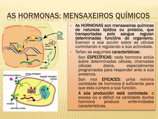 AS HORMONAS: MENSAXEIROS QUÍMICOS
                  As HORMONAS son mensaxeiras químicas
                   de natureza lipídica ou proteica, que
                   transportadas polo sangue regulan
                   determinadas funcións do organismo.
                   Exercen a súa acción sobre as células
                   controlando e regulando a súa actividade.
                  Teñen as seguintes características:
              a.     Son ESPECÍFICAS: cada hormona actúa
                     sobre determinadas células, chamadas
                     células       diana,     especialmente
                     programadas para responder ante a súa
                     presenza.
              b.     Son moi EFICACES: unha mínima
                     cantidade de hormona é suficiente para
                     que esta cumpra a súa función.
              c.     A súa producción está controlada: o
                     exceso ou o déficit na cantidade dunha
                     hormona       produce     enfermidades
                     características.
 