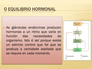 O EQUILIBRIO HORMONAL


   As glándulas endócrinas producen
    hormonas a un ritmo que varía en
    función das necesidades do
    organismo. Isto é así porque existe
    un estricto control que fai que se
    produza a cantidade axeitada que
    se require en cada momento.
 