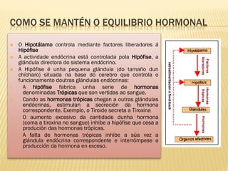 COMO SE MANTÉN O EQUILIBRIO HORMONAL

    O Hipotálamo controla mediante factores liberadores á
     Hipófise
    A actividade endócrina está controlada pola Hipófise, a
     glándula directora do sistema endócrino.
    A Hipófise é unha pequena glándula (do tamaño dun
     chícharo) situada na base do cerebro que controla o
     funcionamento doutras glándulas endócrinas:
1.     A hipófise fabrica unha serie de hormonas
       denominadas Trópicas que son vertidas ao sangue.
2.     Cando as hormonas trópicas chegan a outras glándulas
       endócrinas, estimulan a secreción da hormona
       correspondente. Exemplo, o Tiroide secreta a Tiroxina
3.     O aumento excesivo da cantidade dunha hormona
       (coma a tiroxina no sangue) inhibe a hipófise que cesa a
       produción das hormonas trópicas.
4.     A falta de hormonas trópicas inhibe a súa vez a
       glándula endócrina correspondente e interrómpese a
       producción da hormona en exceso.
 