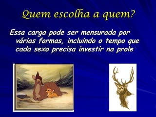 Quem escolha a quem?
Essa carga pode ser mensurada por
várias formas, incluindo o tempo que
cada sexo precisa investir na prole

 