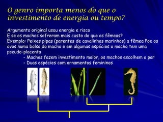 O genro importa menos do que o
investimento de energia ou tempo?
Argumento original usou energia e risco
E se os machos sofreram mais custo do que as fêmeas?
Exemplo: Peixes pipas (parentes de cavalinhos marinhos) a fêmea Poe os
ovos numa bolsa do macho e em algumas espécies o macho tem uma
pseudo-placenta
- Machos fazem investimento maior, os machos escolhem o par
- Duas espécies com ornamentos femininos

 