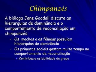 Chimpanzés
A bióloga Jane Goodall discute as
hierarquias de dominância e o
comportamento de reconciliação em
chimpanzés
– Os machos e as fêmeas possuíam
hierarquias de dominância
– Os primatas sociais gastam muito tempo no
comportamento de reconciliação
Contribua a estabilidade de grupo

 