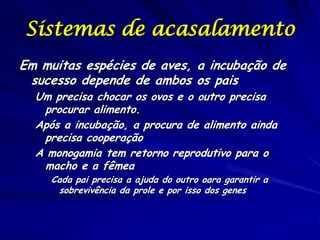 Sistemas de acasalamento
Em muitas espécies de aves, a incubação de
sucesso depende de ambos os pais
Um precisa chocar os ovos e o outro precisa
procurar alimento.
Após a incubação, a procura de alimento ainda
precisa cooperação
A monogamia tem retorno reprodutivo para o
macho e a fêmea
Cada pai precisa a ajuda do outro oara garantir a
sobrevivência da prole e por isso dos genes

 