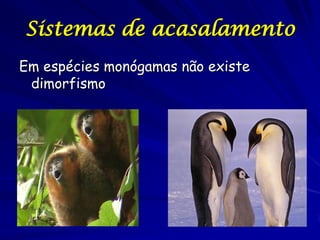 Sistemas de acasalamento
Em espécies monógamas não existe
dimorfismo

 