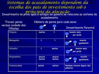 Sistemas de acasalamento dependem da
escolha dos pais de investimento sob o
princípio da alocação

Investimento na prole após o estágio de gameta se relaciona ao sistema de
acasalamento

Trocas: pares
versus cuidado dos
filhotes
Poliginia

Número de pares para cada sexo:
Investimento Parental
muitos

1

Monogamia

1

1

Poliandra

1

muitos

Poliginandria

Promiscuidade

poucos
muitos
muitos

poucos
muitos
muitos

investe mais
por prole
investe
igualmente
investe mais
por prole
investe
igualmente
Nenhum investe depois das
gametas

 