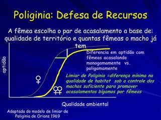 Poliginia: Defesa de Recursos

aptidão

A fêmea escolha o par de acasalamento a base de:
qualidade de território e quantas fêmeas o macho já
tem
Diferencia em aptidão com
fêmeas acasalando
monogamamente vs.
poligamamente

Limiar de Poliginia =diferença mínima na
qualidade de habitat sob o controle dos
machos suficiente para promover
acasalamentos bígamos por fêmeas

Qualidade ambiental
Adaptada do modelo de limiar de
Poliginia de Orians 1969

 