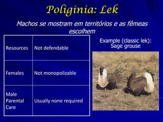 Poliginia: Lek
Machos se mostram em territórios e as fêmeas
escolhem
Resources

Not defendable

Females

Not monopolizable

Male
Parental
Care

Usually none required

Example (classic lek):
Sage grouse

 
