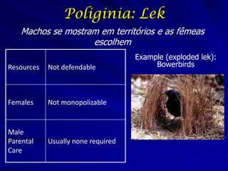 Poliginia: Lek
Machos se mostram em territórios e as fêmeas
escolhem
Resources

Not defendable

Females

Not monopolizable

Male
Parental
Care

Usually none required

Example (exploded lek):
Bowerbirds

 