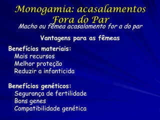 Monogamia: acasalamentos
Fora do Par
Macho ou fêmea acasalamento for a do par
Vantagens para as fêmeas
Benefícios materiais:
Mais recursos
Melhor proteção
Reduzir a infanticida
Benefícios genéticos:
Segurança de fertilidade
Bons genes
Compatibilidade genética

 