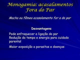 Monogamia: acasalamentos
Fora do Par
Macho ou fêmea acasalamento for a do par
Desvantagens

Pode enfraquecer a ligação do par
Redução do tempo e energia para cuidado
parental
Maior exposição a parasitas e doenças

 