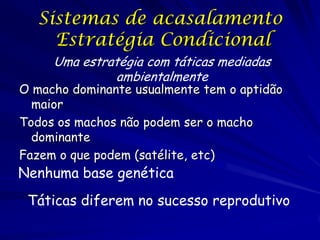 Sistemas de acasalamento
Estratégia Condicional
Uma estratégia com táticas mediadas
ambientalmente

O macho dominante usualmente tem o aptidão
maior
Todos os machos não podem ser o macho
dominante
Fazem o que podem (satélite, etc)

Nenhuma base genética

Táticas diferem no sucesso reprodutivo

 