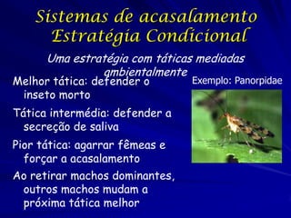 Sistemas de acasalamento
Estratégia Condicional
Uma estratégia com táticas mediadas
ambientalmente

Melhor tática: defender o
inseto morto

Tática intermédia: defender a
secreção de saliva
Pior tática: agarrar fêmeas e
forçar a acasalamento
Ao retirar machos dominantes,
outros machos mudam a
próxima tática melhor

Exemplo: Panorpidae

 