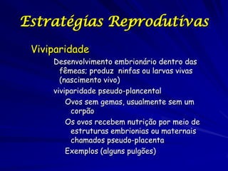 Estratégias Reprodutivas
Viviparidade
Desenvolvimento embrionário dentro das
fêmeas; produz ninfas ou larvas vivas
(nascimento vivo)
viviparidade pseudo-plancental
Ovos sem gemas, usualmente sem um
corpão
Os ovos recebem nutrição por meio de
estruturas embrionias ou maternais
chamados pseudo-placenta
Exemplos (alguns pulgões)

 
