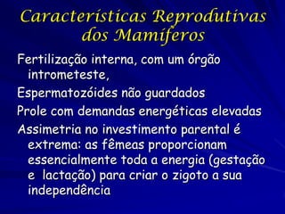 Características Reprodutivas
dos Mamíferos
Fertilização interna, com um órgão
intrometeste,
Espermatozóides não guardados
Prole com demandas energéticas elevadas
Assimetria no investimento parental é
extrema: as fêmeas proporcionam
essencialmente toda a energia (gestação
e lactação) para criar o zigoto a sua
independência

 