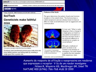 Aumento de resposta de afiliação a vasopressina em roedores
que expressam o receptor V-1a de um roedor monógamo
Young LJ, Nilsen R, Waymire KG, MacGregor GR, Insel TR
NATURE 400 (6746): 766-768 AUG 19 1999

 