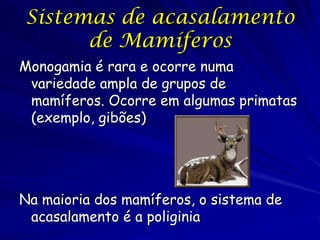Sistemas de acasalamento
de Mamíferos
Monogamia é rara e ocorre numa
variedade ampla de grupos de
mamíferos. Ocorre em algumas primatas
(exemplo, gibões)

Na maioria dos mamíferos, o sistema de
acasalamento é a poliginia

 
