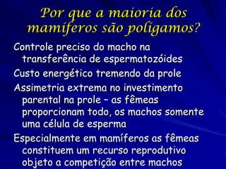 Por que a maioria dos
mamíferos são polígamos?
Controle preciso do macho na
transferência de espermatozóides
Custo energético tremendo da prole
Assimetria extrema no investimento
parental na prole – as fêmeas
proporcionam todo, os machos somente
uma célula de esperma
Especialmente em mamíferos as fêmeas
constituem um recurso reprodutivo
objeto a competição entre machos

 