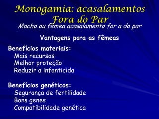 Monogamia: acasalamentos
Fora do Par
Macho ou fêmea acasalamento for a do par
Vantagens para as fêmeas
Benefícios materiai...