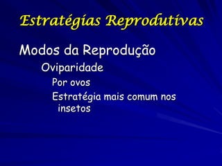 Estratégias Reprodutivas
Modos da Reprodução
Oviparidade
Por ovos
Estratégia mais comum nos
insetos

 