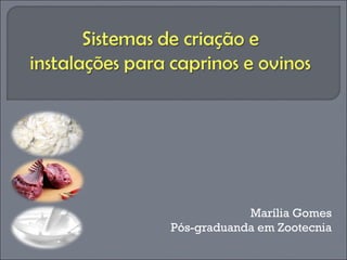 Marília Gomes
Pós-graduanda em Zootecnia

 