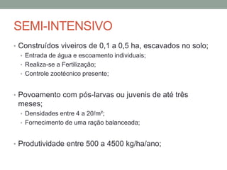 SEMI-INTENSIVO
• Construídos viveiros de 0,1 a 0,5 ha, escavados no solo;
• Entrada de água e escoamento individuais;
• Realiza-se a Fertilização;
• Controle zootécnico presente;
• Povoamento com pós-larvas ou juvenis de até três
meses;
• Densidades entre 4 a 20/m²;
• Fornecimento de uma ração balanceada;
• Produtividade entre 500 a 4500 kg/ha/ano;
 
