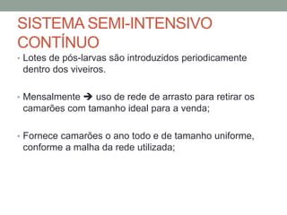 SISTEMA SEMI-INTENSIVO
CONTÍNUO
• Lotes de pós-larvas são introduzidos periodicamente
dentro dos viveiros.
• Mensalmente  uso de rede de arrasto para retirar os
camarões com tamanho ideal para a venda;
• Fornece camarões o ano todo e de tamanho uniforme,
conforme a malha da rede utilizada;
 