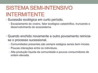 SISTEMA SEMI-INTENSIVO
INTERMITENTE
• Sucessão ecológica em curto período.
• Esvaziamento do viveiro, fator ecológico catastrófico, truncando o
desenvolvimento do ecossistema.
• Quando enchido novamente a outro povoamento reinicia-
se o processo sucessional.
• Comunidades presentes são sempre estágios serais bem iniciais.
• Poucas interações entre os indivíduos.
• Alta produção líquida da comunidade e poucos consumidores de
ordem elevada.
 