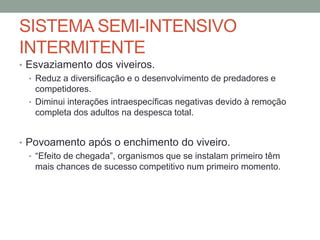 SISTEMA SEMI-INTENSIVO
INTERMITENTE
• Esvaziamento dos viveiros.
• Reduz a diversificação e o desenvolvimento de predadores e
competidores.
• Diminui interações intraespecíficas negativas devido à remoção
completa dos adultos na despesca total.
• Povoamento após o enchimento do viveiro.
• “Efeito de chegada”, organismos que se instalam primeiro têm
mais chances de sucesso competitivo num primeiro momento.
 