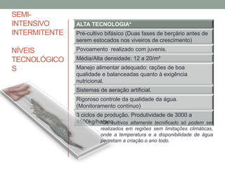 SEMI-
INTENSIVO
INTERMITENTE
NÍVEIS
TECNOLÓGICO
S
ALTA TECNOLOGIA*
Pré-cultivo bifásico (Duas fases de berçário antes de
serem estocados nos viveiros de crescimento)
Povoamento realizado com juvenis.
Média/Alta densidade: 12 a 20/m²
Manejo alimentar adequado: rações de boa
qualidade e balanceadas quanto à exigência
nutricional.
Sistemas de aeração artificial.
Rigoroso controle da qualidade da água.
(Monitoramento contínuo)
3 ciclos de produção. Produtividade de 3000 a
4500kg/ha/ano.*Os cultivos altamente tecnificado só podem ser
realizados em regiões sem limitações climáticas,
onde a temperatura e a disponibilidade de água
permitam a criação o ano todo.
 