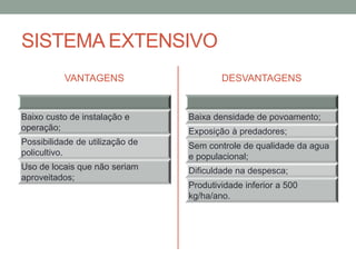 SISTEMA EXTENSIVO
VANTAGENS
Baixo custo de instalação e
operação;
Possibilidade de utilização de
policultivo.
Uso de locais que não seriam
aproveitados;
DESVANTAGENS
Baixa densidade de povoamento;
Exposição à predadores;
Sem controle de qualidade da agua
e populacional;
Dificuldade na despesca;
Produtividade inferior a 500
kg/ha/ano.
 
