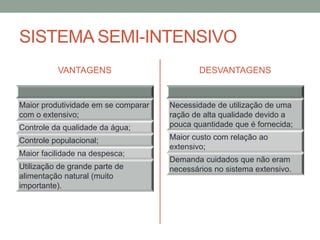 SISTEMA SEMI-INTENSIVO
VANTAGENS
Maior produtividade em se comparar
com o extensivo;
Controle da qualidade da água;
Controle populacional;
Maior facilidade na despesca;
Utilização de grande parte de
alimentação natural (muito
importante).
DESVANTAGENS
Necessidade de utilização de uma
ração de alta qualidade devido a
pouca quantidade que é fornecida;
Maior custo com relação ao
extensivo;
Demanda cuidados que não eram
necessários no sistema extensivo.
 