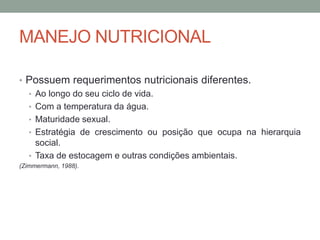 MANEJO NUTRICIONAL
• Possuem requerimentos nutricionais diferentes.
• Ao longo do seu ciclo de vida.
• Com a temperatura da água.
• Maturidade sexual.
• Estratégia de crescimento ou posição que ocupa na hierarquia
social.
• Taxa de estocagem e outras condições ambientais.
(Zimmermann, 1988).
 