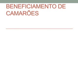 BENEFICIAMENTO DE
CAMARÕES
 